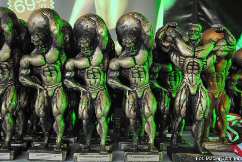 Siedleckie święto sportów siłowych i sylwetkowych (fotogaleria)