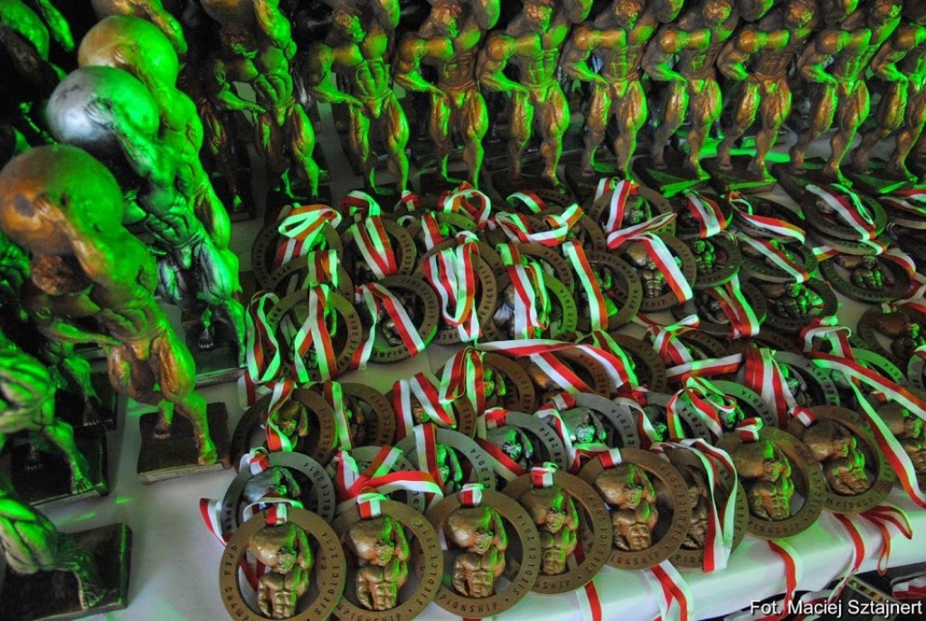 Siedleckie święto sportów siłowych i sylwetkowych (fotogaleria)