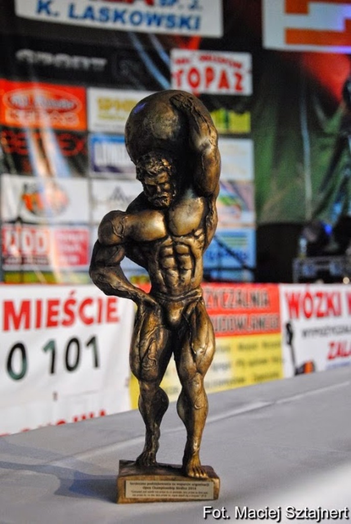 Siedleckie święto sportów siłowych i sylwetkowych (fotogaleria)