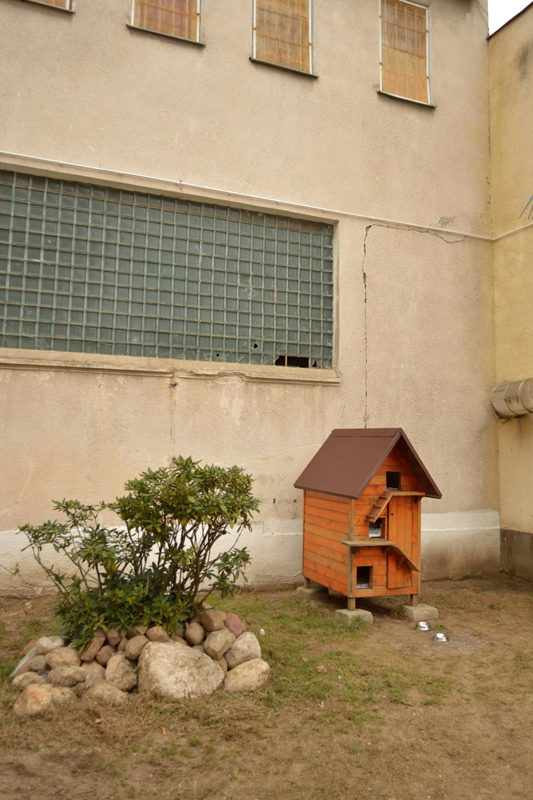 Po drugiej stronie muru (fotorelacja)