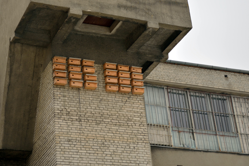 Po drugiej stronie muru (fotorelacja)