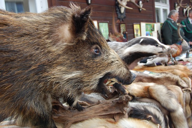Tradycja łączy pokolenia