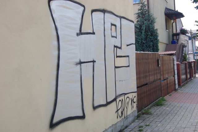 Poczuli się jak w domu?