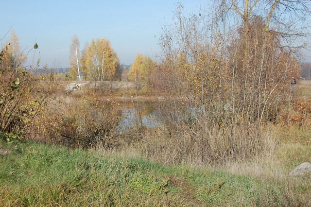 Nie zmarła od urazu