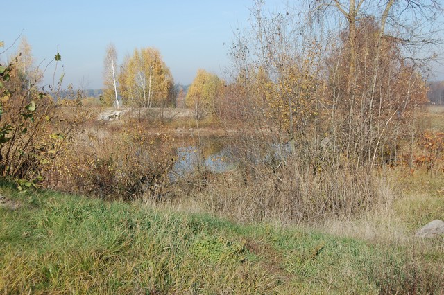 Nie zmarła od urazu