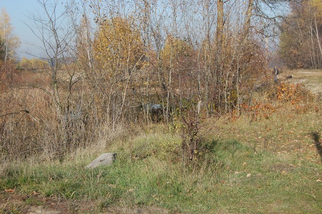 Nie zmarła od urazu