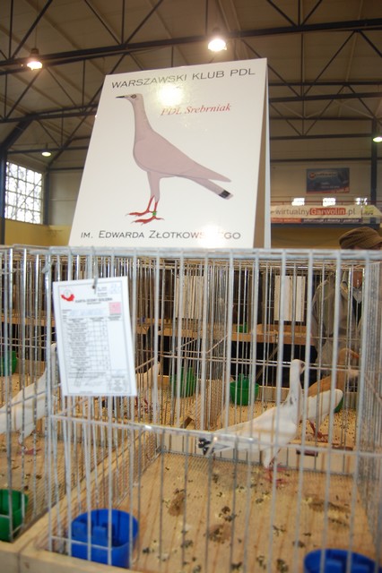 Najpiękniejsze okazy