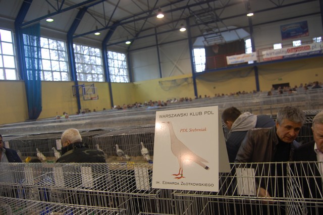 Najpiękniejsze okazy