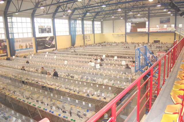 Najpiękniejsze okazy