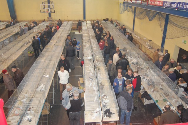 Najpiękniejsze okazy