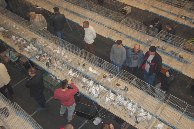 Najpiękniejsze okazy