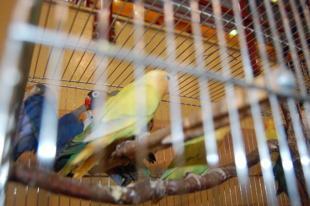 Najpiękniejsze okazy