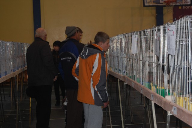 Najpiękniejsze okazy