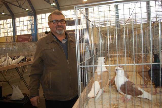 Najpiękniejsze okazy