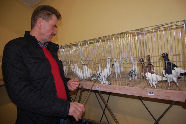 Najpiękniejsze okazy