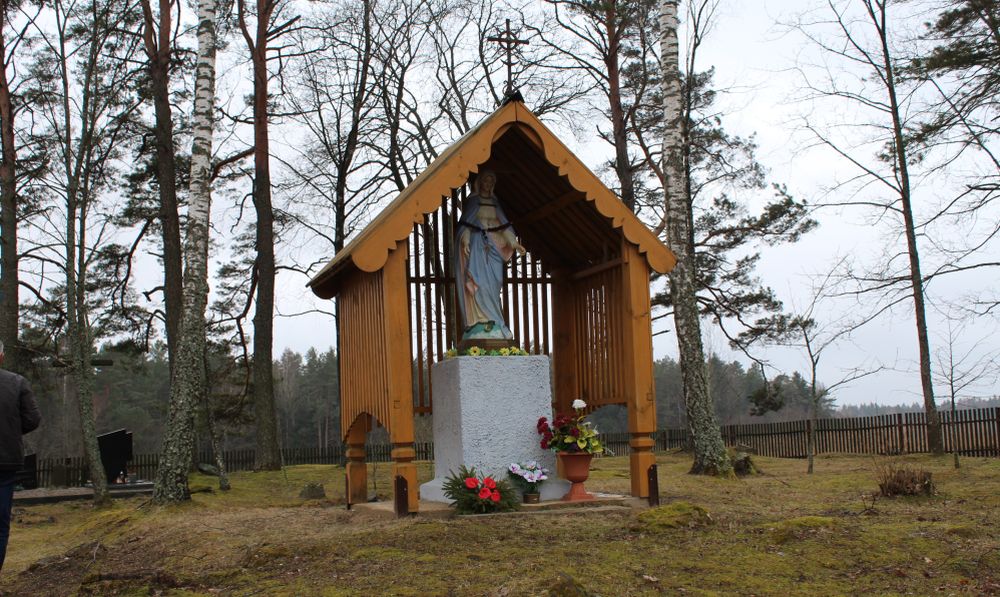 Z książkami w Mościszkach