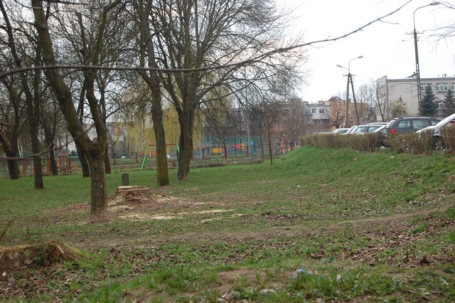 ?Cuda niewidy? na Kościuszki