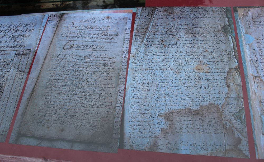 Butlerowie znów w Miedznej