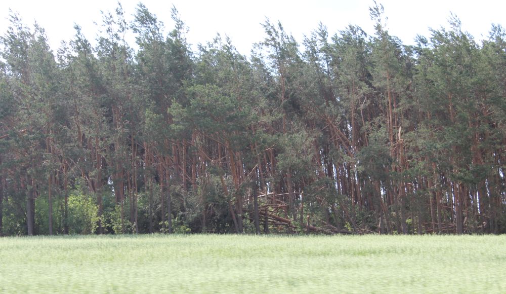 Potężne straty po nawałnicy
