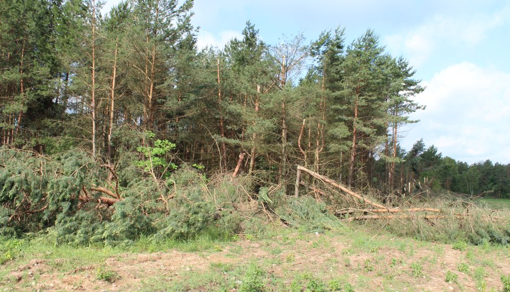 Potężne straty po nawałnicy