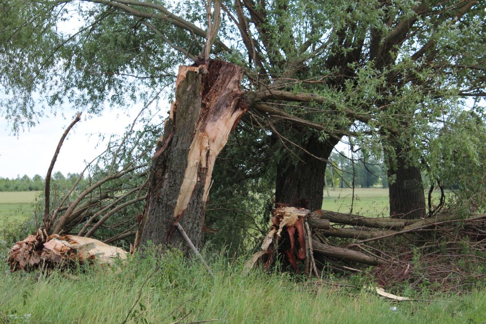 Potężne straty po nawałnicy
