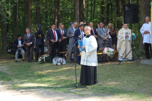 Jak co roku, w lesie unińskim... (galeria zdjęć)
