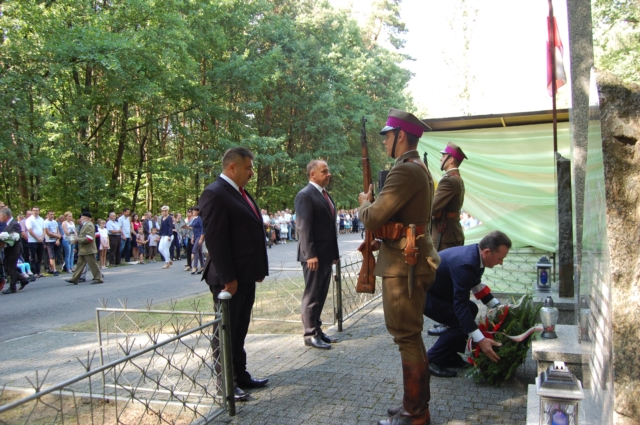 Jak co roku, w lesie unińskim... (galeria zdjęć)