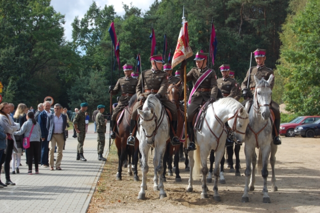 Dla miłośników koni (galeria zdjęć)