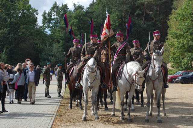 Dla miłośników koni (galeria zdjęć)