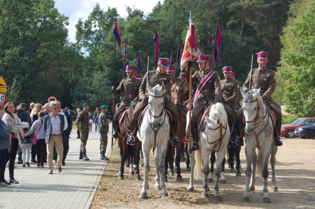 Dla miłośników koni (galeria zdjęć)