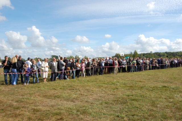 Dla miłośników koni (galeria zdjęć)