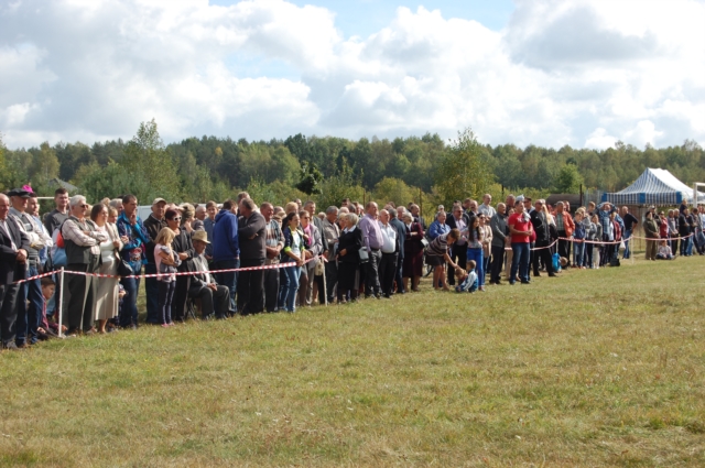 Dla miłośników koni (galeria zdjęć)