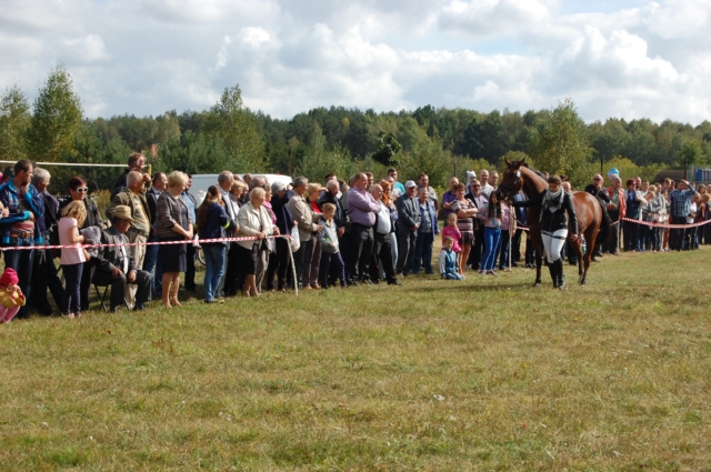 Dla miłośników koni (galeria zdjęć)