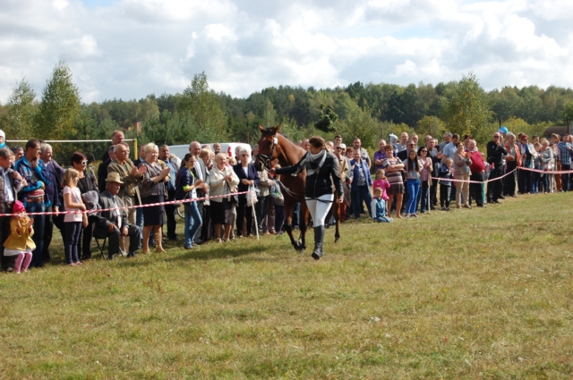 Dla miłośników koni (galeria zdjęć)