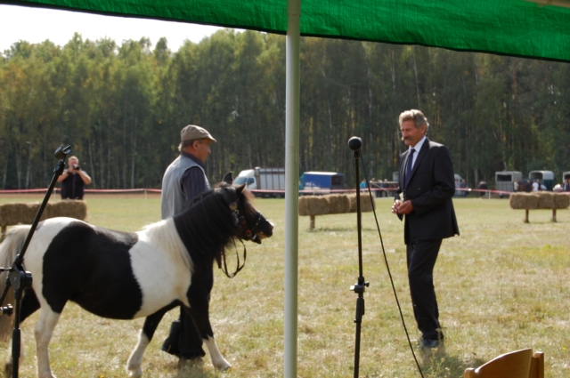 Dla miłośników koni (galeria zdjęć)