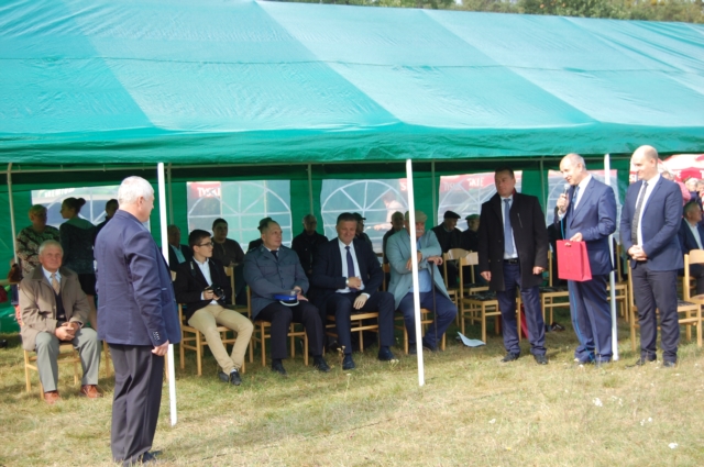 Dla miłośników koni (galeria zdjęć)