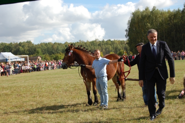 Dla miłośników koni (galeria zdjęć)