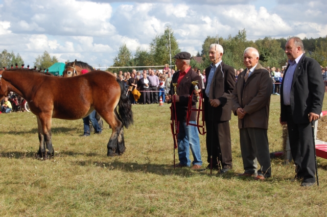Dla miłośników koni (galeria zdjęć)