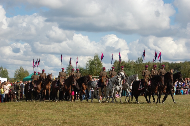 Dla miłośników koni (galeria zdjęć)