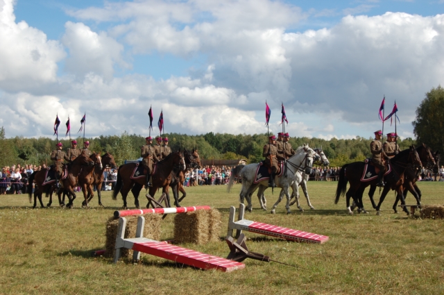 Dla miłośników koni (galeria zdjęć)