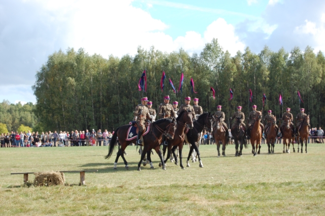 Dla miłośników koni (galeria zdjęć)