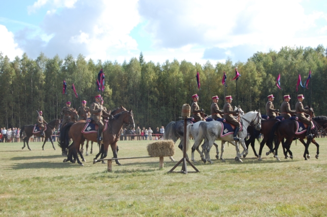 Dla miłośników koni (galeria zdjęć)