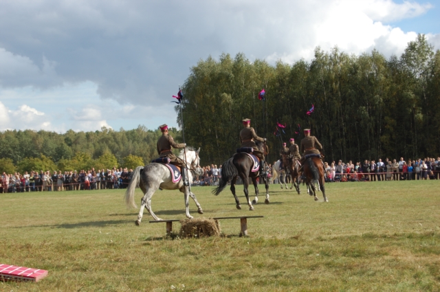 Dla miłośników koni (galeria zdjęć)