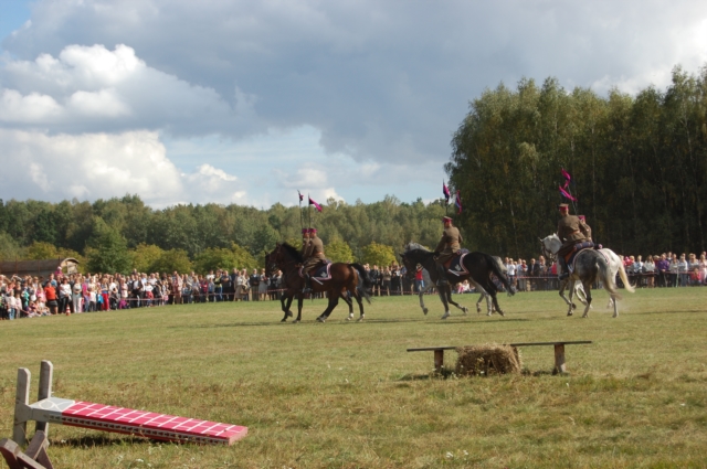 Dla miłośników koni (galeria zdjęć)
