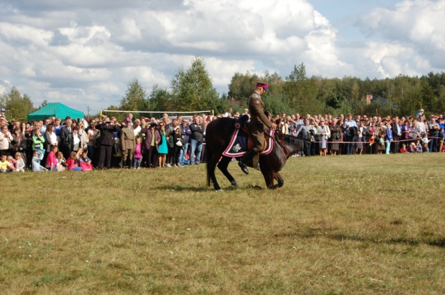 Dla miłośników koni (galeria zdjęć)