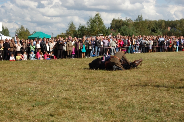 Dla miłośników koni (galeria zdjęć)