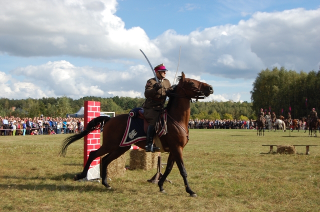 Dla miłośników koni (galeria zdjęć)