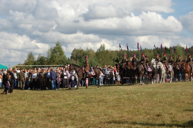Dla miłośników koni (galeria zdjęć)