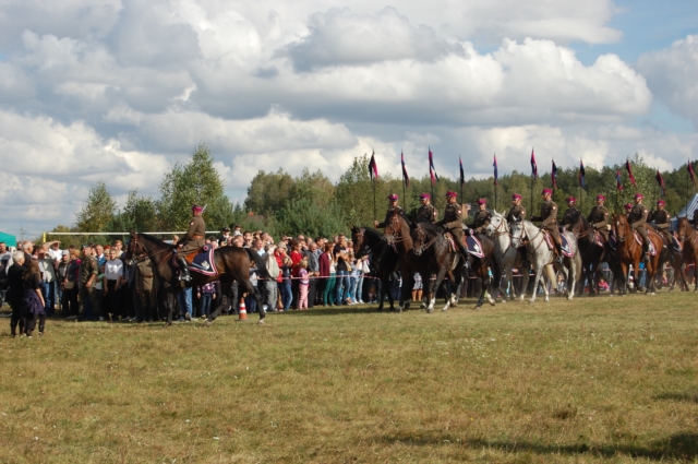 Dla miłośników koni (galeria zdjęć)