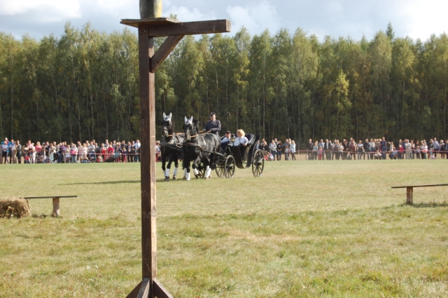 Dla miłośników koni (galeria zdjęć)